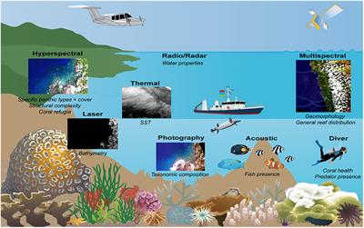 Scaling Up Coral Reef Restoration Using Remote Sensing Technology